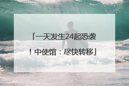 一天发生24起恐袭！中使馆：尽快转移