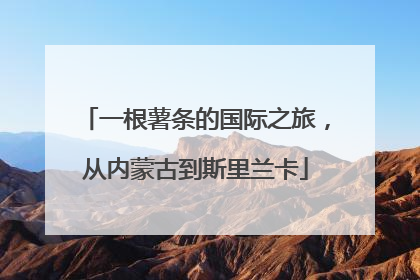 一根薯条的国际之旅，从内蒙古到斯里兰卡