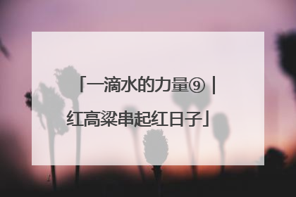 一滴水的力量⑨｜红高粱串起红日子