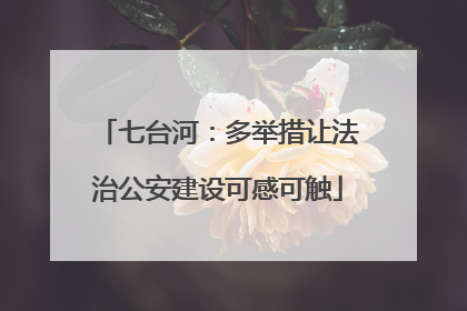 七台河：多举措让法治公安建设可感可触