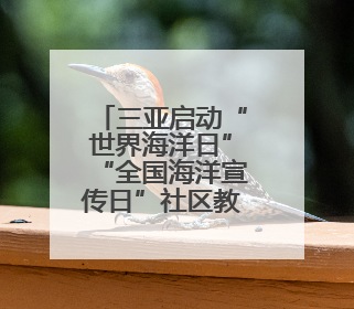 三亚启动“世界海洋日”“全国海洋宣传日”社区教育主题系列活动