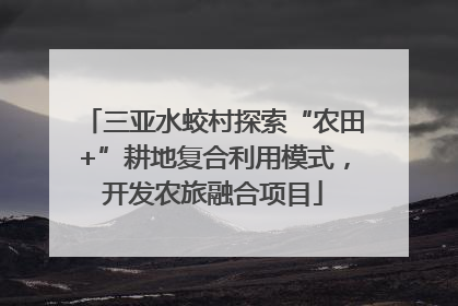 三亚水蛟村探索“农田+”耕地复合利用模式，开发农旅融合项目