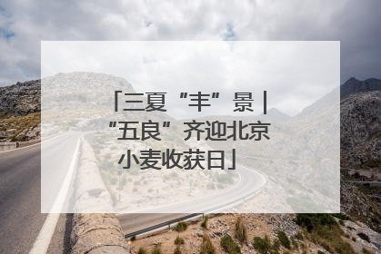 三夏“丰”景｜“五良”齐迎北京小麦收获日