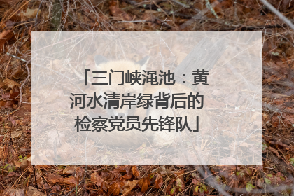 三门峡渑池：黄河水清岸绿背后的检察党员先锋队