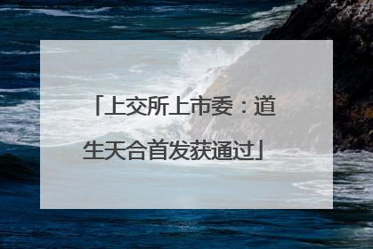 上交所上市委：道生天合首发获通过