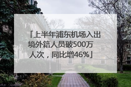 上半年浦东机场入出境外籍人员破500万人次，同比增46%
