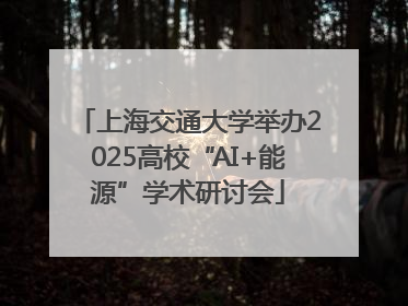 上海交通大学举办2025高校“AI+能源”学术研讨会