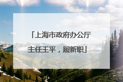 上海市政府办公厅主任王平，履新职