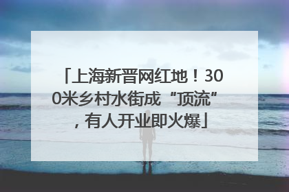 上海新晋网红地！300米乡村水街成“顶流”，有人开业即火爆