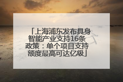 上海浦东发布具身智能产业支持16条政策：单个项目支持额度最高可达亿级