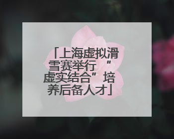 上海虚拟滑雪赛举行 “虚实结合”培养后备人才