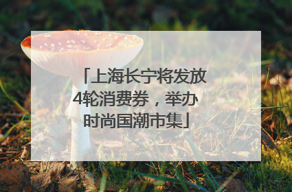 上海长宁将发放4轮消费券，举办时尚国潮市集