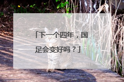 下一个四年，国足会变好吗？