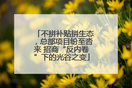 不拼补贴拼生态，总部项目纷至沓来 招商“反内卷”下的光谷之变