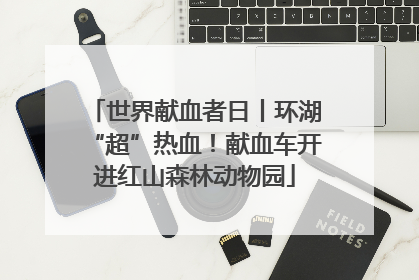 世界献血者日丨环湖“超”热血！献血车开进红山森林动物园