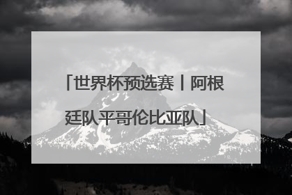世界杯预选赛丨阿根廷队平哥伦比亚队