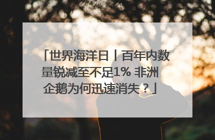 世界海洋日丨百年内数量锐减至不足1% 非洲企鹅为何迅速消失？