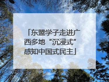东盟学子走进广西多地“沉浸式”感知中国式民主