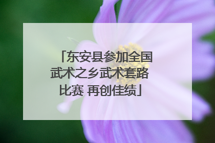 东安县参加全国武术之乡武术套路比赛 再创佳绩