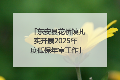 东安县花桥镇扎实开展2025年度低保年审工作