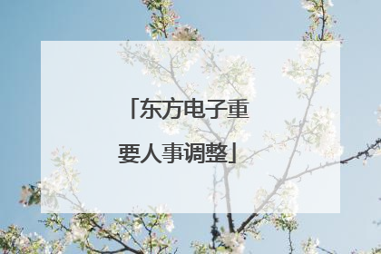 东方电子重要人事调整