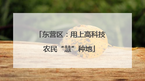 东营区：用上高科技 农民“慧”种地