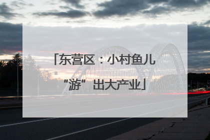 东营区：小村鱼儿“游”出大产业