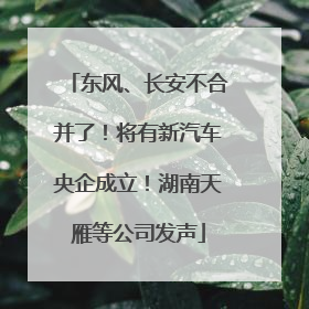 东风、长安不合并了！将有新汽车央企成立！湖南天雁等公司发声