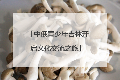 中俄青少年吉林开启文化交流之旅