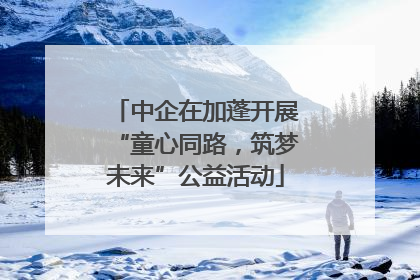 中企在加蓬开展“童心同路，筑梦未来”公益活动