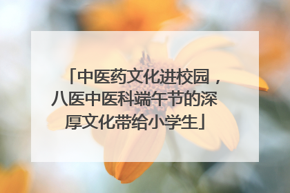 中医药文化进校园，八医中医科端午节的深厚文化带给小学生