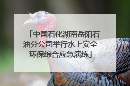 中国石化湖南岳阳石油分公司举行水上安全环保综合应急演练