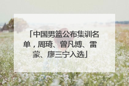 中国男篮公布集训名单，周琦、曾凡博、雷蒙、廖三宁入选