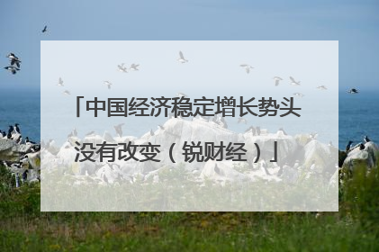 中国经济稳定增长势头没有改变（锐财经）