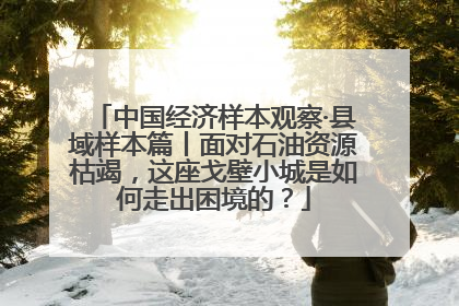 中国经济样本观察·县域样本篇丨面对石油资源枯竭，这座戈壁小城是如何走出困境的？