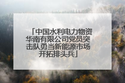 中国水利电力物资华南有限公司党员突击队勇当新能源市场开拓排头兵