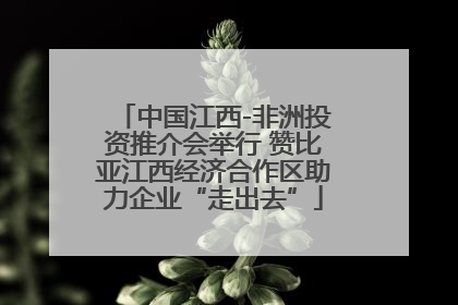中国江西-非洲投资推介会举行 赞比亚江西经济合作区助力企业“走出去”