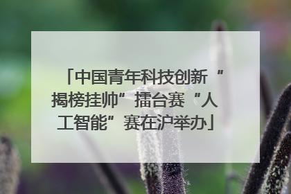 中国青年科技创新“揭榜挂帅”擂台赛“人工智能”赛在沪举办