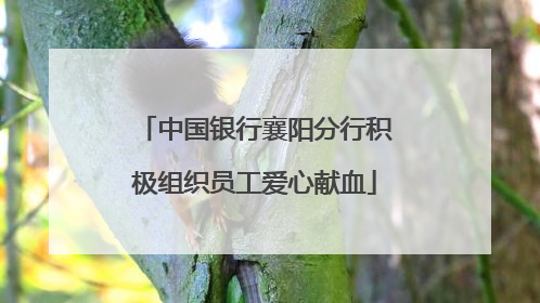 中国银行襄阳分行积极组织员工爱心献血