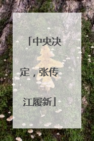 中央决定，张传江履新