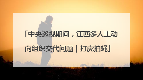 中央巡视期间，江西多人主动向组织交代问题｜打虎拍蝇