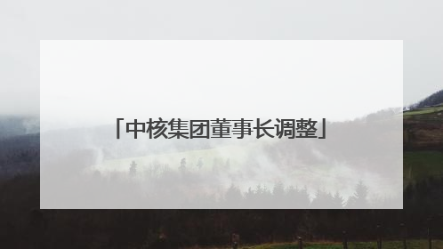 中核集团董事长调整