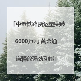 中老铁路货运量突破6000万吨 黄金通道释放强劲动能