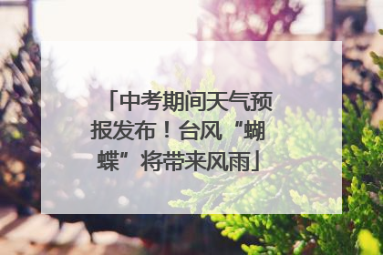中考期间天气预报发布！台风“蝴蝶”将带来风雨
