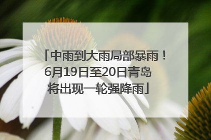 中雨到大雨局部暴雨！6月19日至20日青岛将出现一轮强降雨