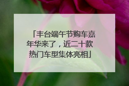 丰台端午节购车嘉年华来了，近二十款热门车型集体亮相