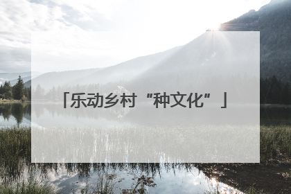 乐动乡村“种文化”