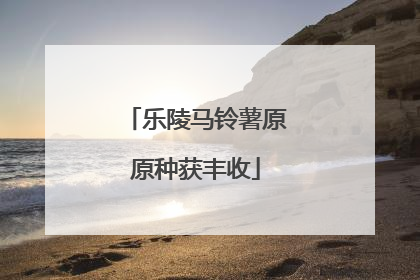 乐陵马铃薯原原种获丰收