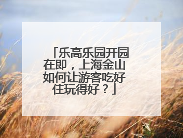 乐高乐园开园在即，上海金山如何让游客吃好住玩得好？