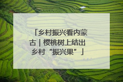 乡村振兴看内蒙古｜樱桃树上结出乡村“振兴果”